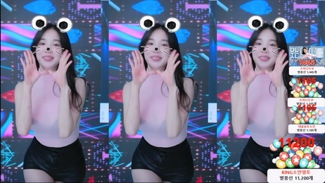 KBJ-24122659 kbj24122659_twingo1125_20241101